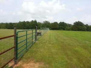 galvanized fence