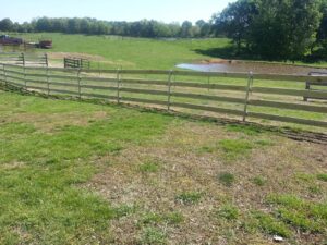 wooden fence